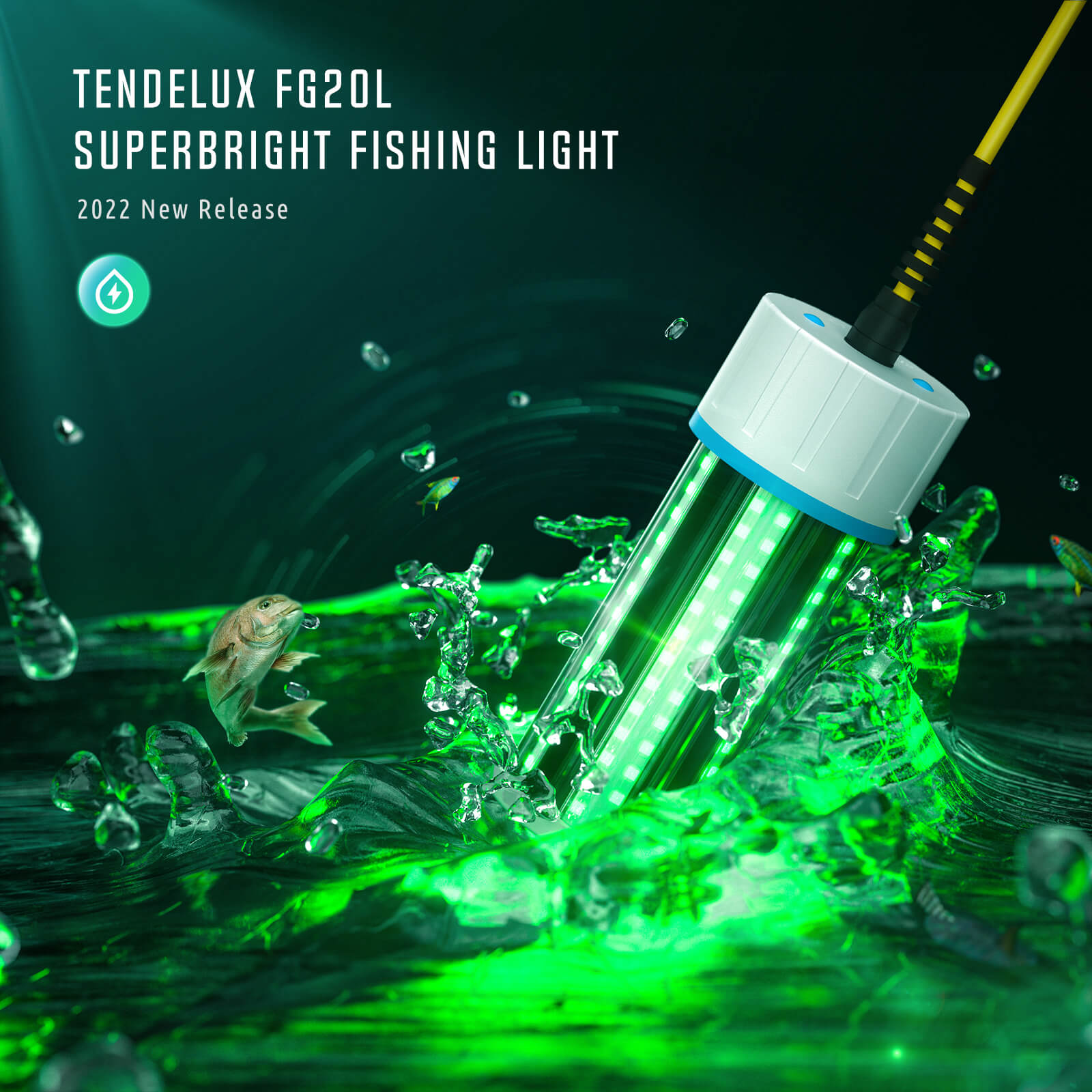 Tendelux FG20L Underwater Fishing Light, Super Bright Green LED Submersible  Light Attractant